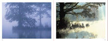 Load image into Gallery viewer, TIDEWATER: Select Postcards