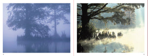 TIDEWATER: Select Postcards
